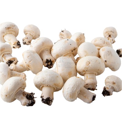 Шампиньоны свежие 500 г - купить в Чебудасы